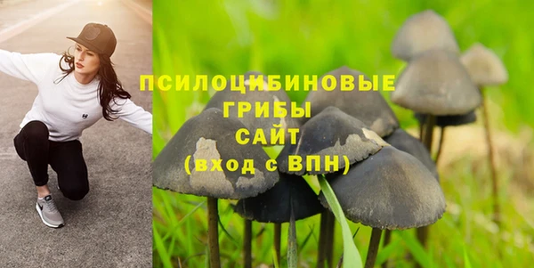 ешки Армянск
