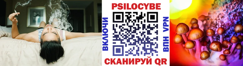 Галлюциногенные грибы мухоморы  Динская 